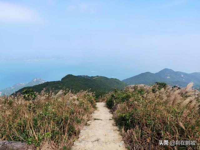 深圳排名前十山峰，这17座深圳山峰你有爬过吗