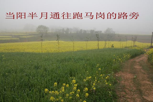 回忆在下乡插队的日子,回忆下乡插队的日子 回忆在下乡插队的日子,回忆下乡插队的日子