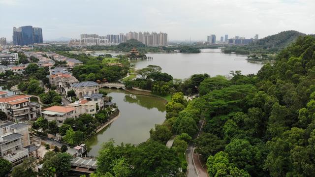 寻味顺德美食攻略，广东顺德舌尖上的美食攻略