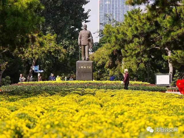 我们身边的沈阳，他曾数十次翱翔在沈阳的上空