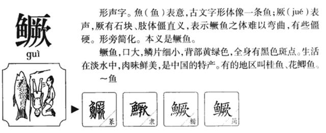 鲈的汉语怎么读，鳜的读音和意思