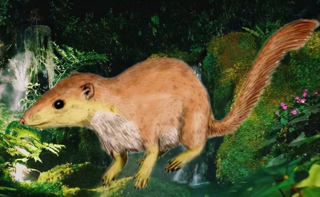 人类的进化史到底是什么样的，人类进化史上有13万年的空白,过程中发生了什么