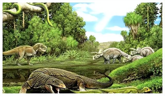 世界上最大的蚂蚁，世界上最大的蚂蚁在哪里生长（世界上最大的蚂蚁公牛蚁）