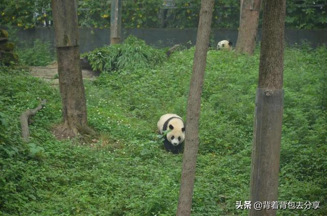 四川有哪些景点，四川旅游必去十大景点推荐（四川最美的二十个景区有哪些）