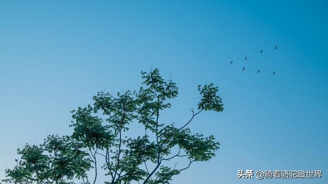 一年适合情侣过的节日，你知道哪一个节日是浪漫女人最中意的吗
