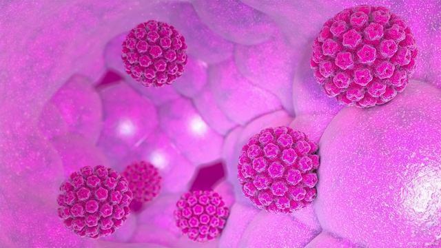 hpv通过什么途径感染，hpv感染的途径有哪些你知道几个（发现 HPV 阳性后该怎么办）