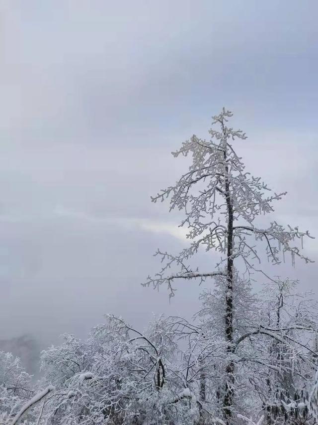 成都周边11月玩雪，成都周边这8个耍雪地不要门票