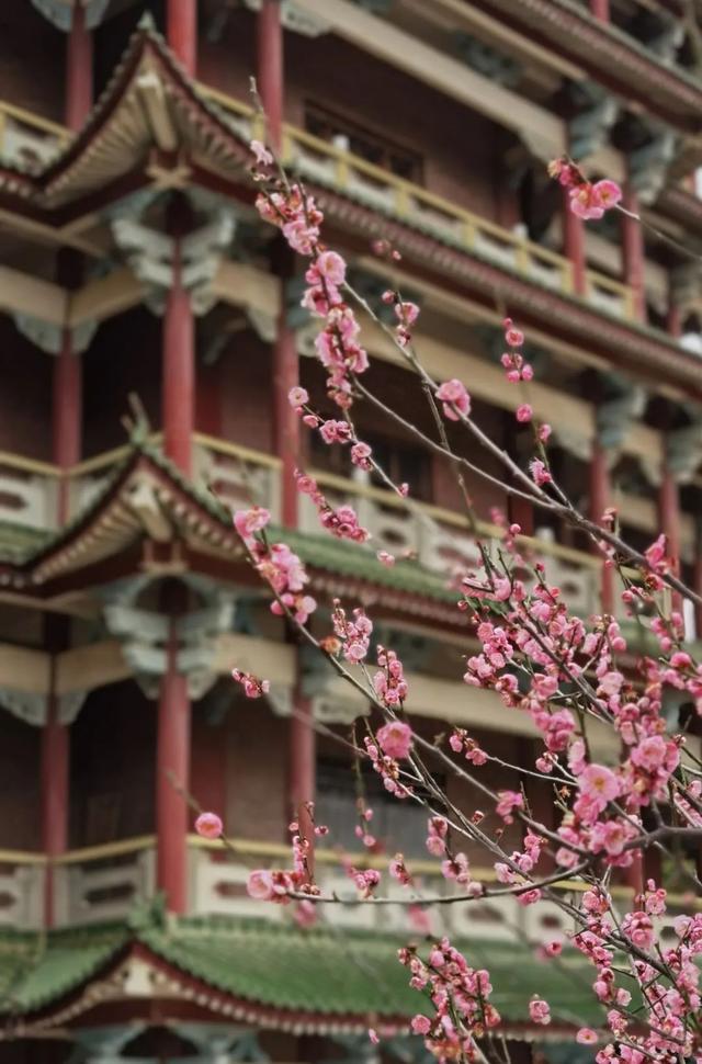 莆田普陀山在哪，莆田普陀山风景区