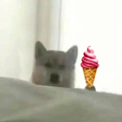 可爱小狗表情包，可爱表情包大全狗子