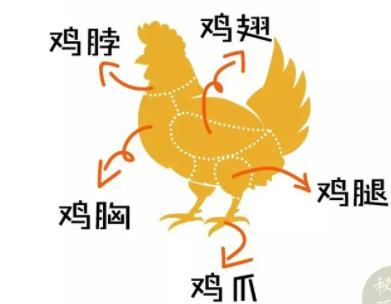 煮鸡肉最佳配料，食材百科-鸡肉