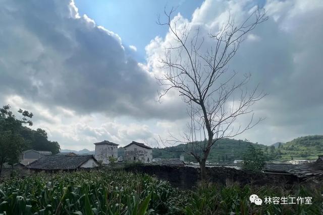 林容生乡村纪实，贵州深山里的美丽乡村