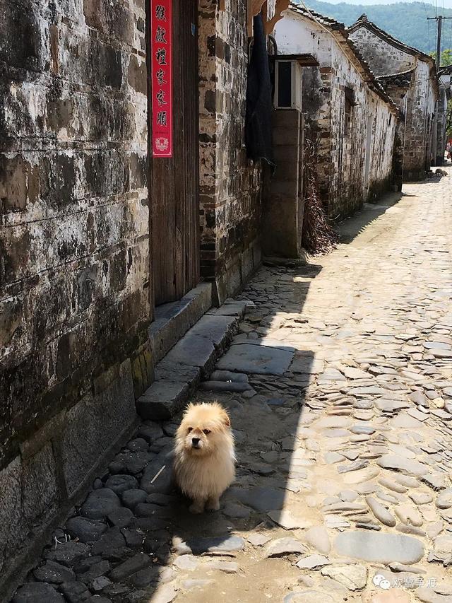泾县桃花潭周边景点介绍，桃花潭水深千尺