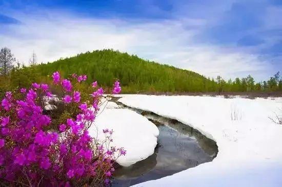 春天去哪里旅游，最适合春天去的7大旅游景点