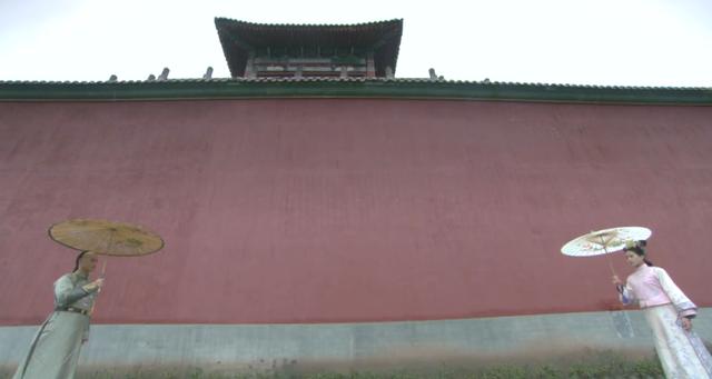 步步惊心八爷和四爷的区别，八爷到底是伪君子