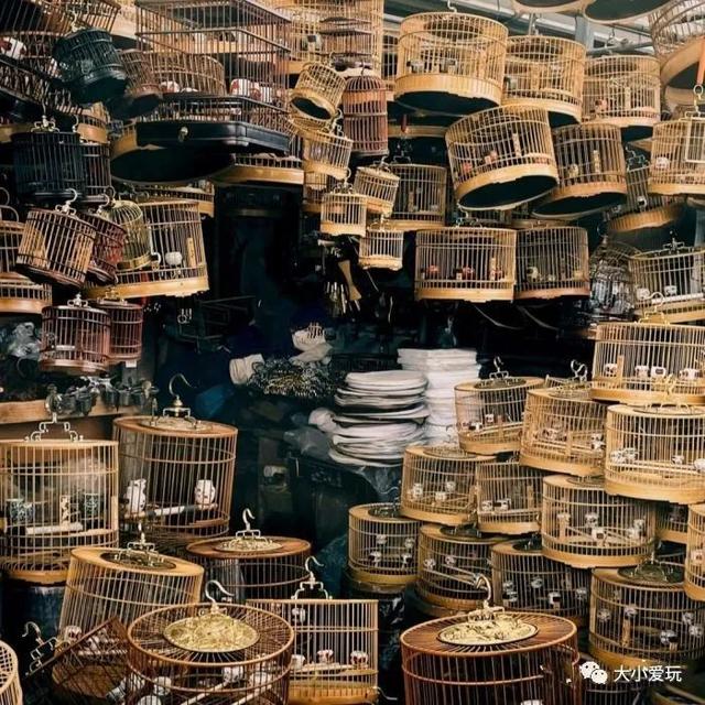 北京四大花市，丰台四大花市逛买攻略