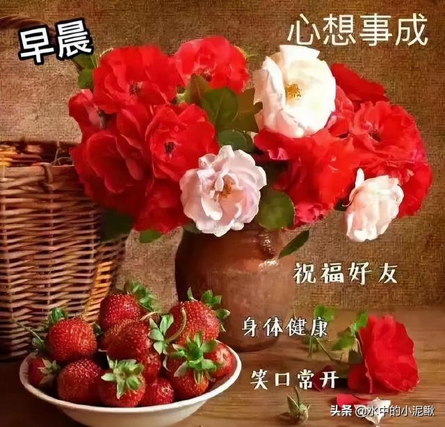 早安一句话唯美句子，关于早安心语的句子有哪些（早安心语正能量简单一句话阳光语录）
