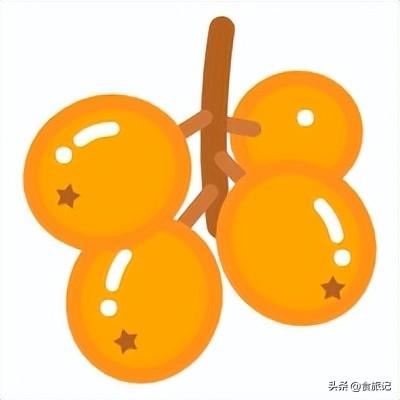 同样是大五星枇杷，四川米易枇杷几月成熟