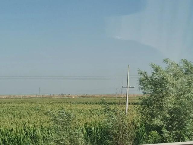 大草原旅游攻略，旅游内蒙古大草原攻略（内蒙古大草原深度自驾路线）