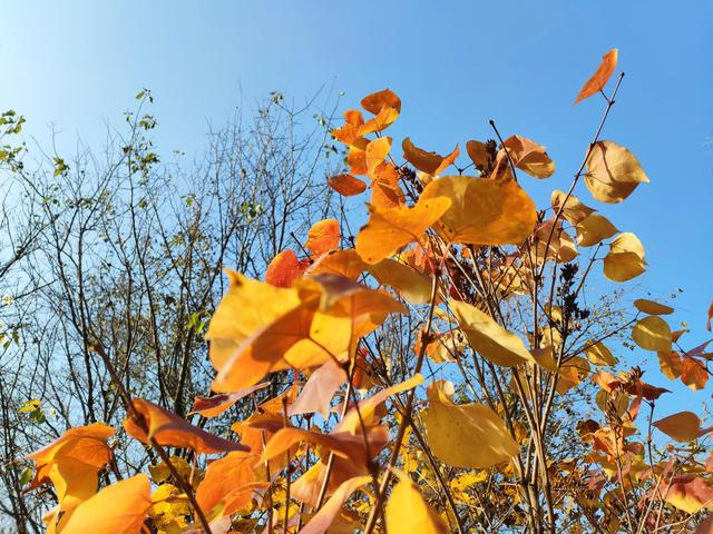 东陵区郊野公园，沈阳东陵郊野公园的美景真好