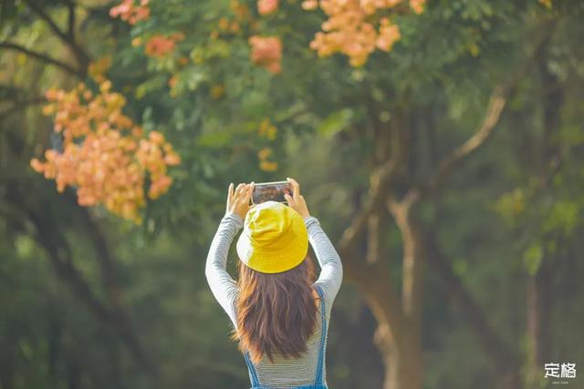 深圳地铁1号线游玩，免费地铁直达深圳这些地方一天玩遍