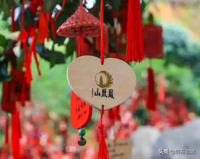 深圳排名前十山峰，这17座深圳山峰你有爬过吗