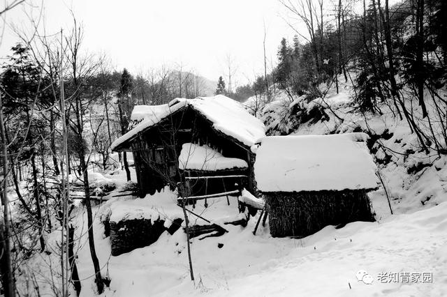 上海知青云南回忆录，七尺布票知青艰难回家之路