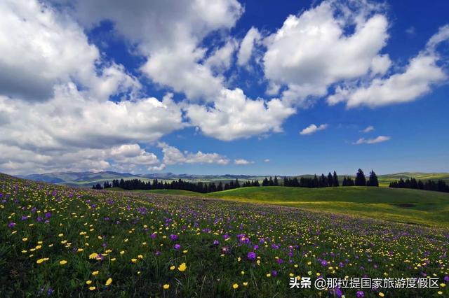 伊犁河谷最值得去的地方，伊犁河谷赏花攻略