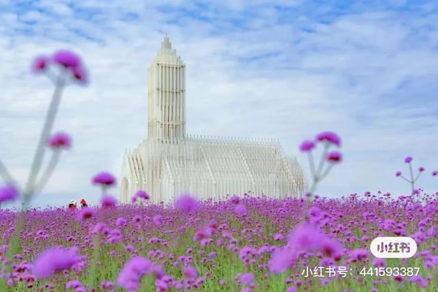 9月成都周边最适合露营，不出成都市区打卡9大露营野餐拍照地