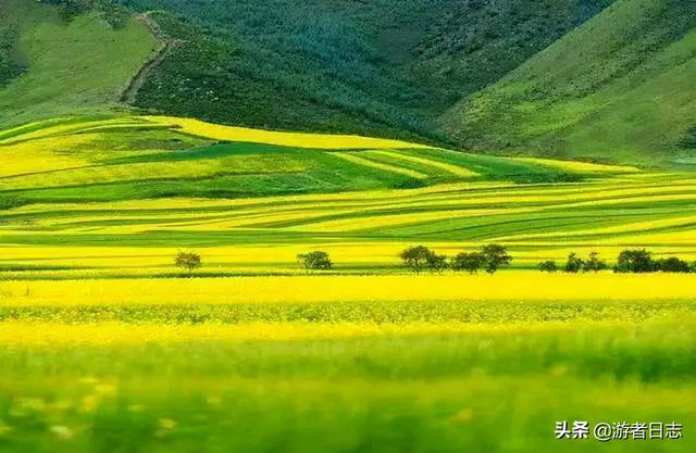 张掖旅游景点排名，张掖最近有哪些旅游胜地（张掖自驾游都有哪些好玩的地方）