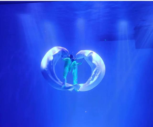 哈尔滨海洋极地馆，哈尔滨极地海洋馆内部（哈尔滨极地公园·极地馆）