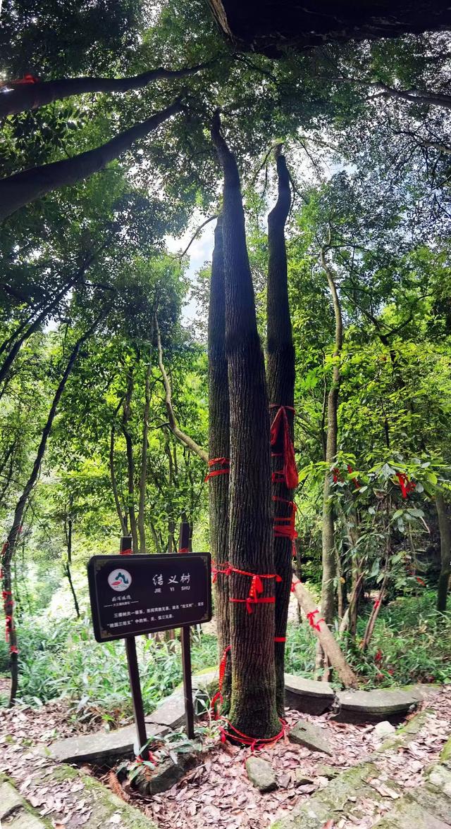 池州石头观音洞，纪念尧舜二帝求贤、躬耕胜迹