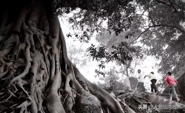 潮汕怎么过元宵节，潮汕20个特别的元宵习俗