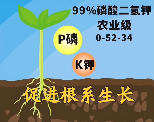 磷酸二氢钾的用途及注意事项，磷酸二氢钾喷施很简单