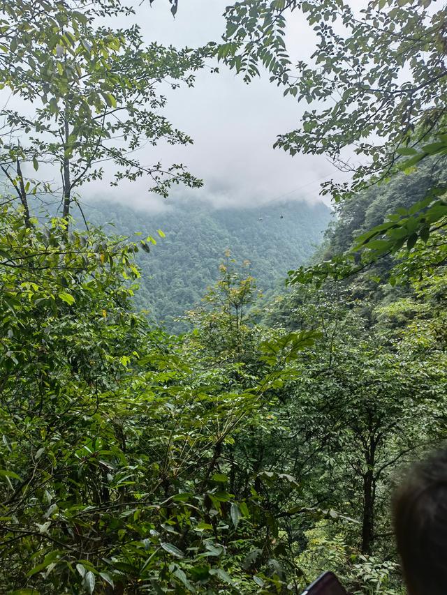 贵州铜仁梵净山，贵州铜仁梵净山风景区攻略（贵州省铜仁市梵净山风景区）