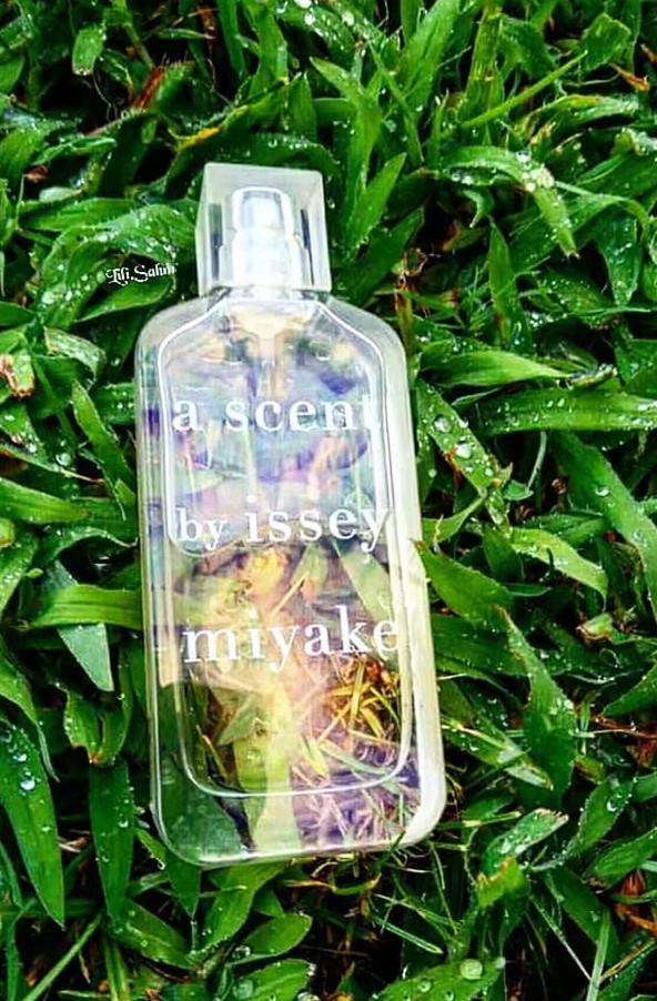 适合夏天的大牌香水推荐，你是夏日的一抹清凉