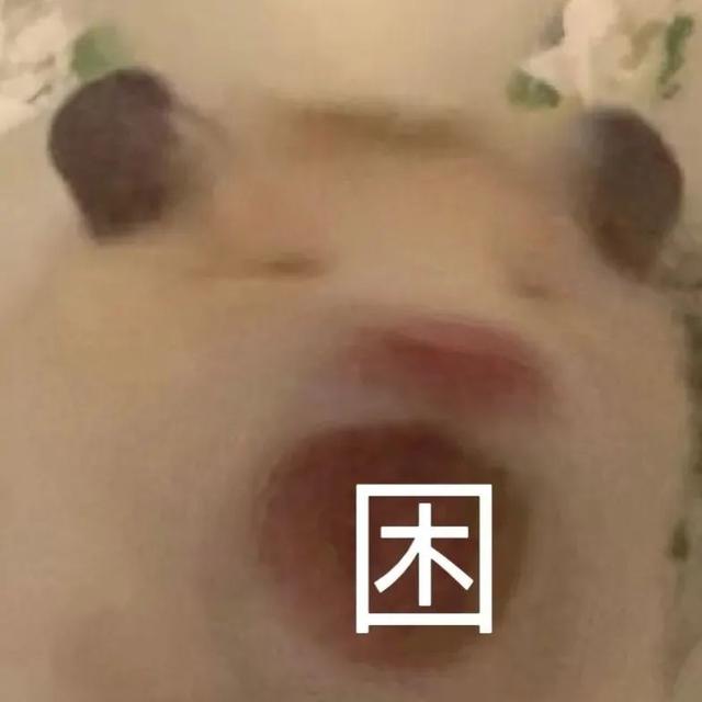 小仓鼠动态迷你表情包，变形脸仓鼠可爱老鼠