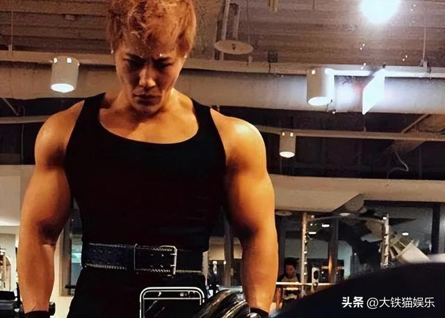 好莱坞十大肌肉男明星，表面是健身达人