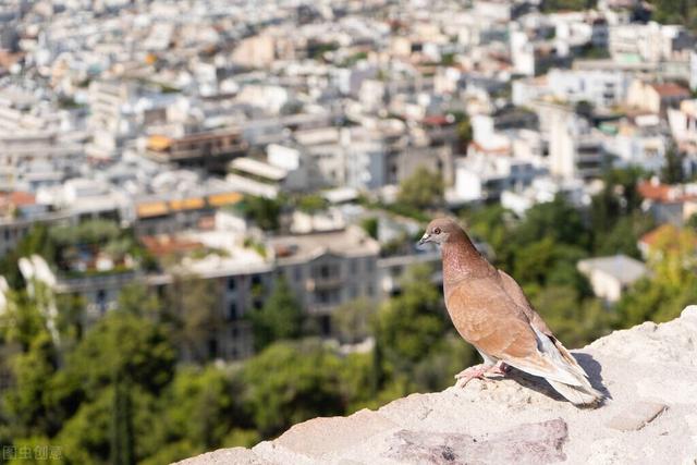 希腊神话最善良的女神，希腊神话笔记一群残忍