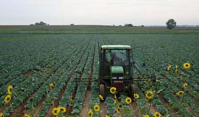 美国农民农村生活，看美国农民的真实生活是怎样的