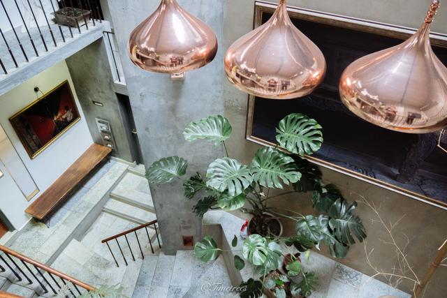 桂林阳朔最美民宿排名，去桂林阳朔遇龙河、十里画廊旅游