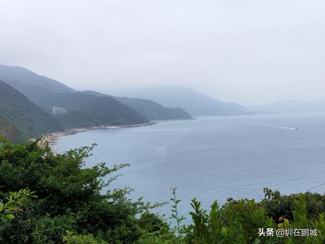 杨梅坑鹿嘴山庄，杨梅坑深圳旅游（鹿嘴山庄寻鹿攻略）