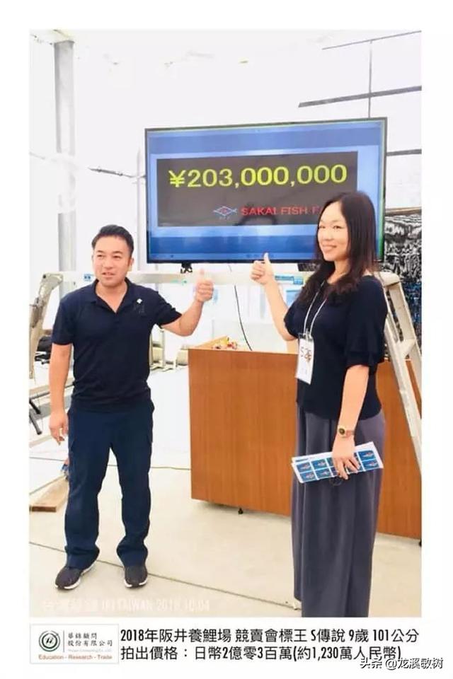 锦鲤各品种的寓意和象征，锦鲤品类介绍<一>