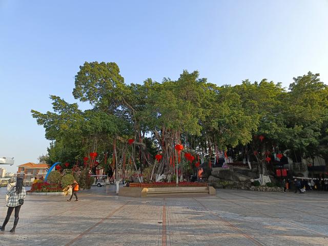 鼓浪屿有什么好玩的地方，鼓浪屿岛屿哪个好玩