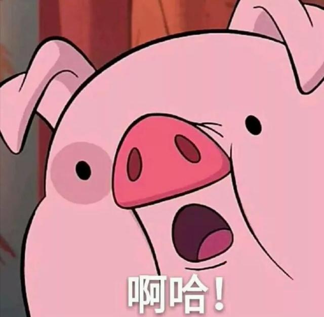 东北农村过年杀年猪习俗，东北农村过年杀年猪习俗