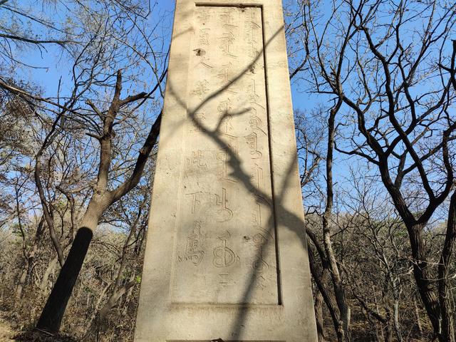 东陵区郊野公园，沈阳东陵郊野公园的美景真好