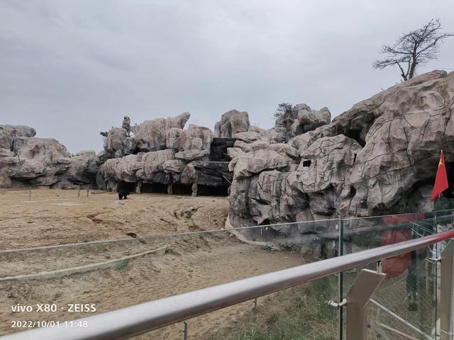 石家庄动物园攻略，石家庄动物园游玩自带饭攻略