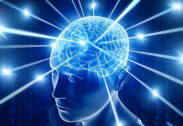 科学家发现大脑记忆工作原理，科学家揭示“过目不忘”背后机制