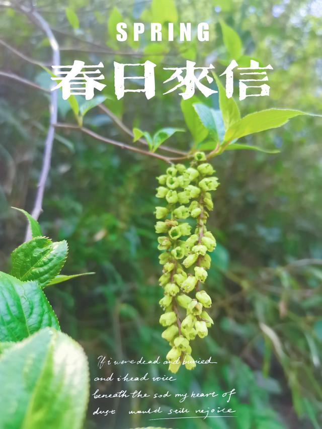 青城后山旅游攻略，成都青城山后山旅游攻略