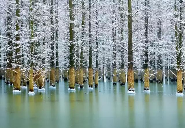 春节适合旅游的地方，最新春节期间旅游攻略（拉萨这些地方免费打卡）