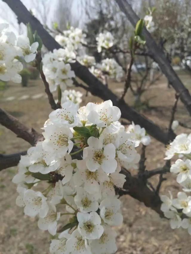 沈阳师范大学官网，沈阳师范大学官网入口